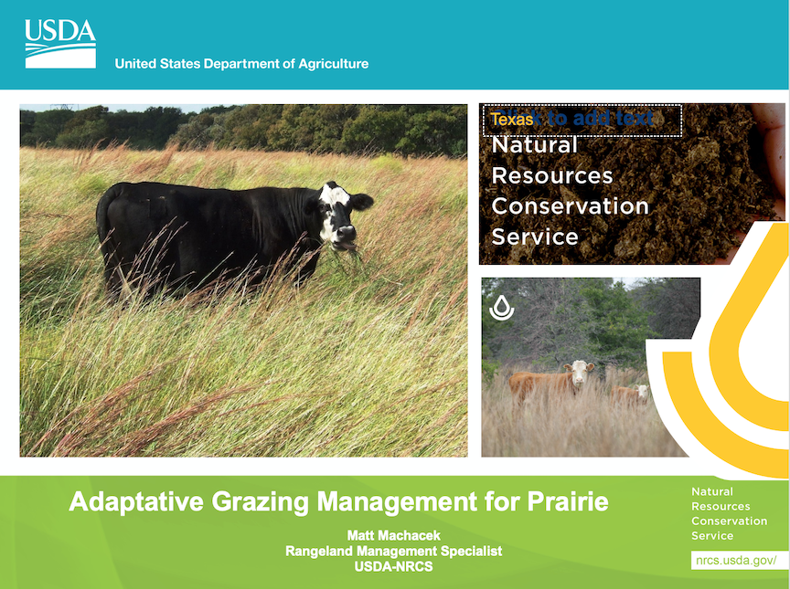 Adaptive Grazing Management for Prairie